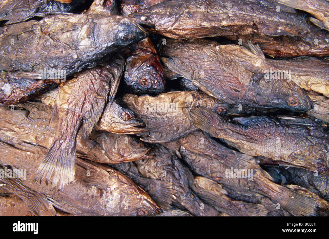 Una collezione di affumicato e essiccato di pesce di lago in un Oriente mercato africano. Foto Stock