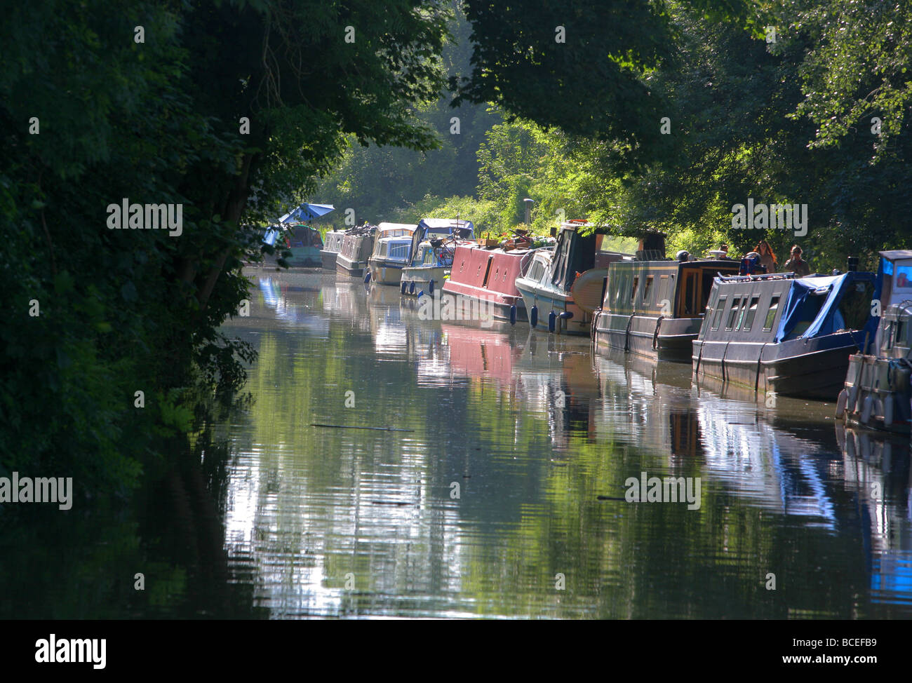 Chiatte ormeggiate lungo le rive a Bradford-Upon-Avon, Kennet & Avon Canal, Wiltshire, Inghilterra, Regno Unito Foto Stock