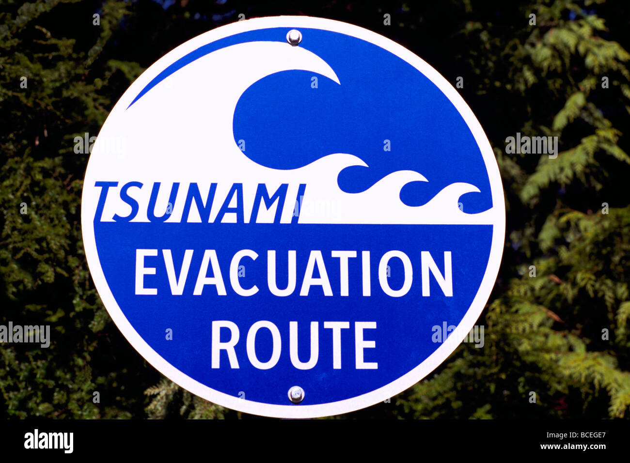 Tsunami i percorsi di evacuazione autostrada cartello stradale Foto Stock