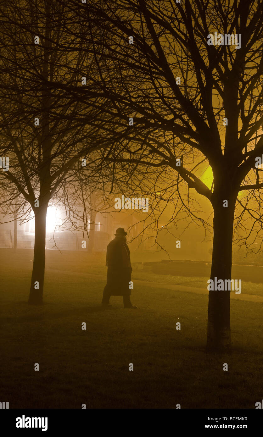 Una donna sola a casa a piedi in un parco in una notte di nebbia Foto Stock