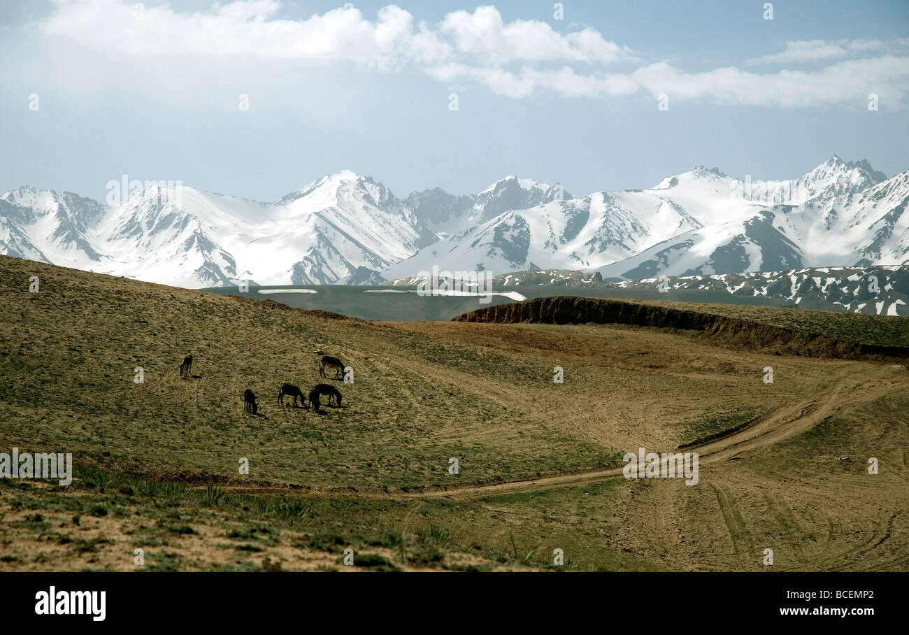 Highlands vicino la band-e Amir laghi in Afghanistan la provincia di Bamiyan sono trascurate dalla coperta di neve Hindu Kush montagne Foto Stock