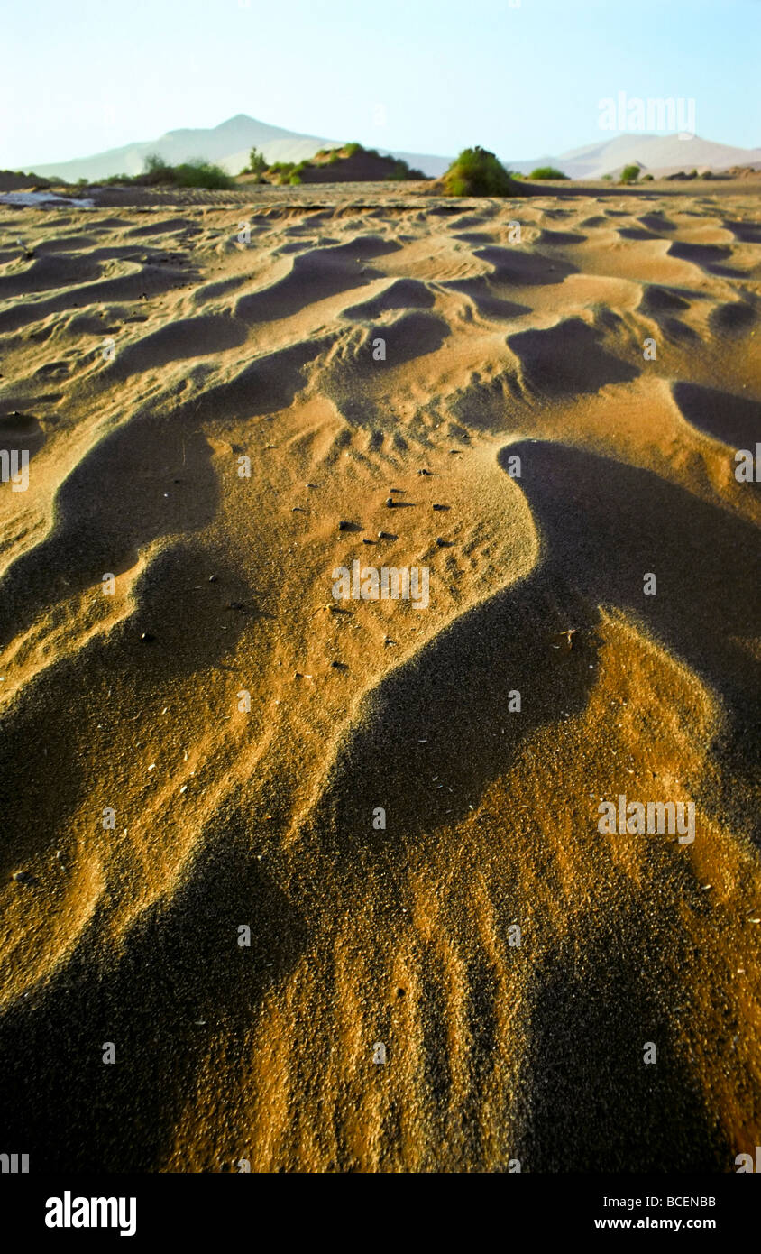 Lontano dalle dune e un ventoso la superficie ondulata di un deserto sabbioso piano. Foto Stock