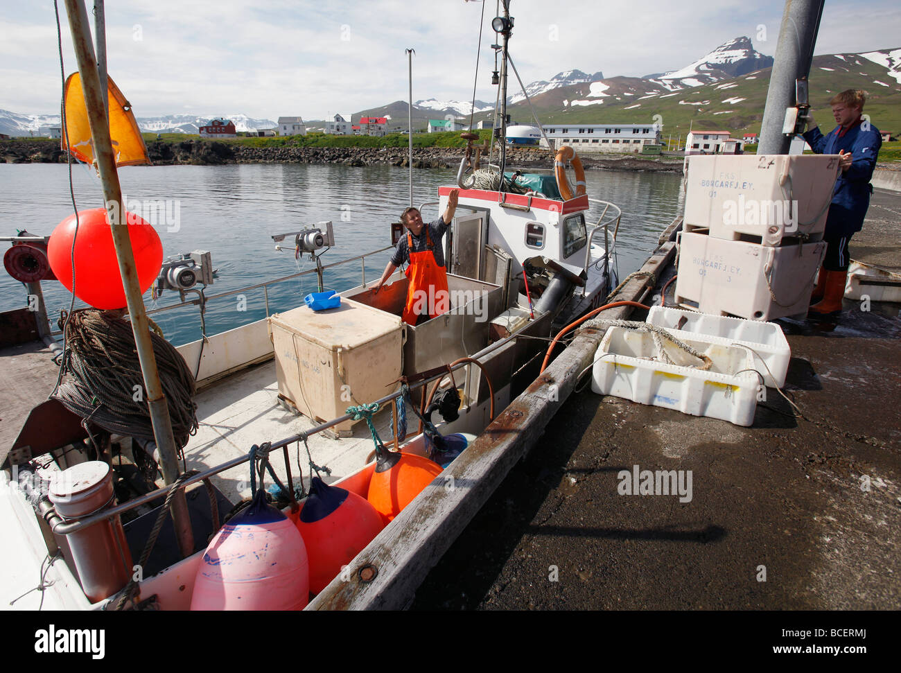 Una piccola barca da pesca scarica il pesce nel villaggio di Borgarfjörður, Islanda Foto Stock