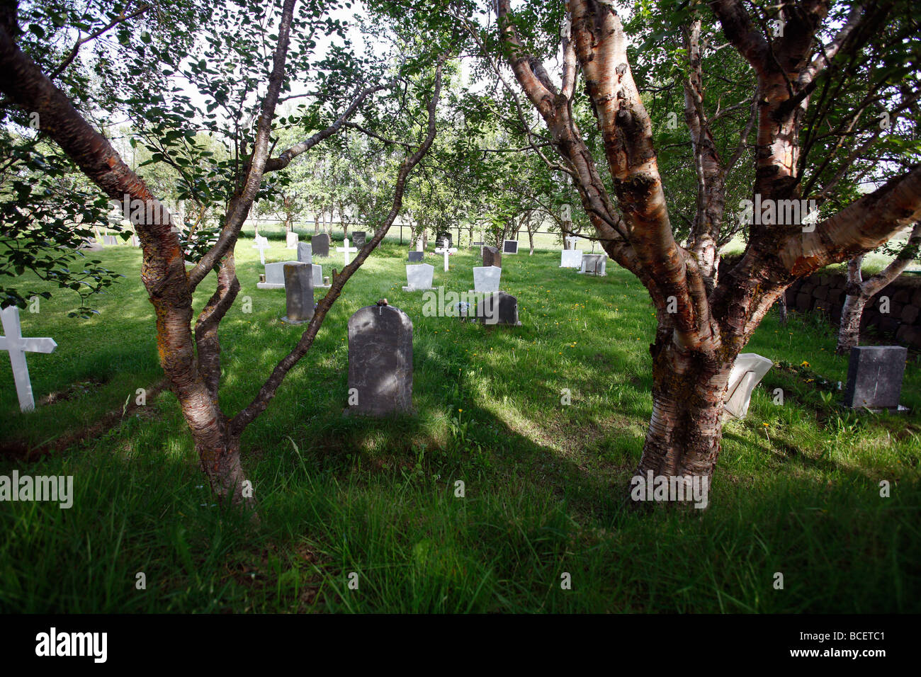 Piccolo cimitero in un boschetto di alberi nel nord-est dell'Islanda. Foto Stock