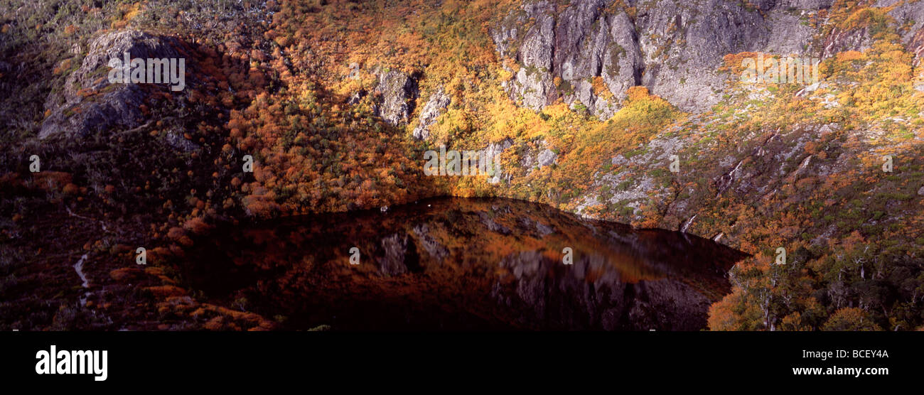 Le foreste di faggio decidui sui pendii a strapiombo sul lago circostante Wilks. Foto Stock