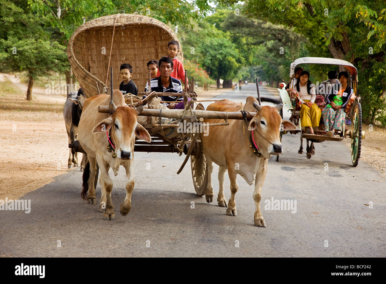 Myanmar. La Birmania. Bagan. Un bue-disegnato farm carrello passa a cavallo buggy sulla strada di Nyaung U mercato. Foto Stock