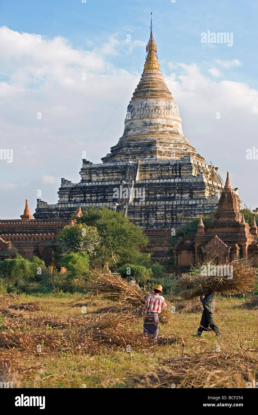 Myanmar. La Birmania. Bagan. L antico stupa buddisti di Shwesandaw sulla pianura centrale di Bagan. Foto Stock