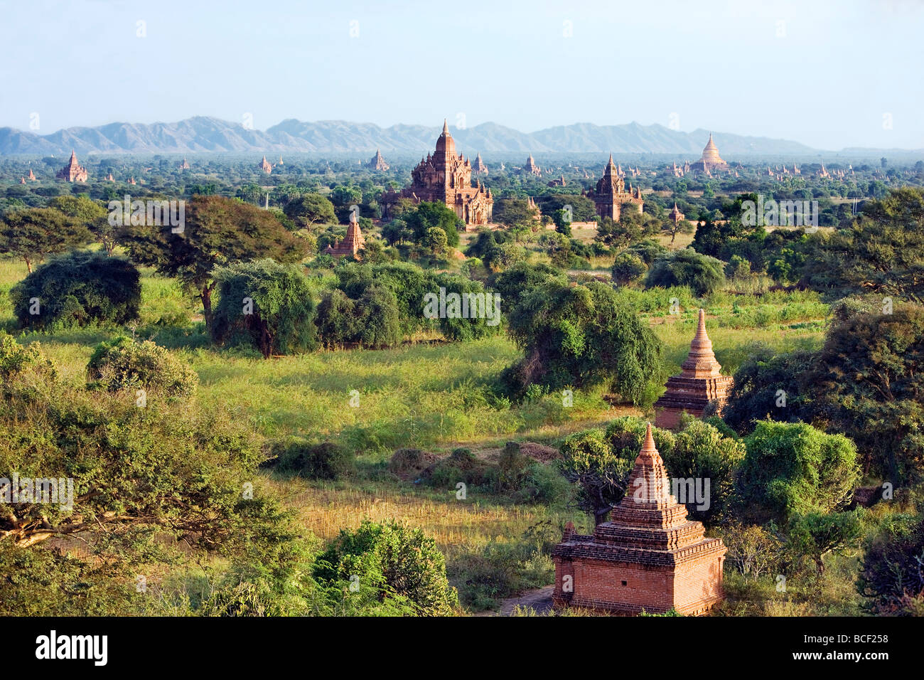 Myanmar. La Birmania. Bagan. Antichi templi buddisti sulla pianura centrale di Bagan visto dalla Shwesandaw stupa. Foto Stock