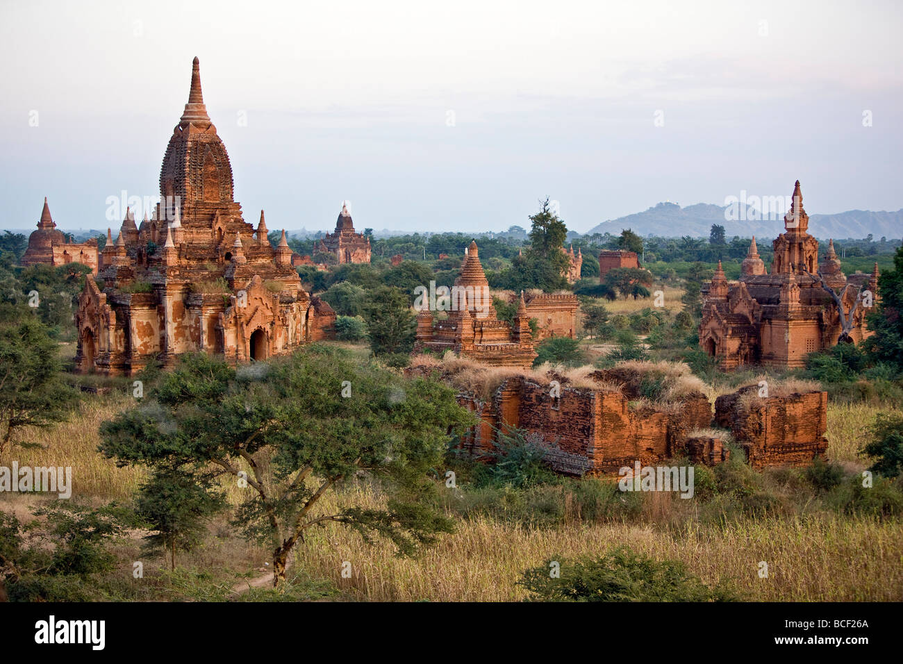 Myanmar. La Birmania. Bagan. Antichi templi buddisti sulla pianura centrale di Bagan visto dal Tempio Tayokpye. Foto Stock