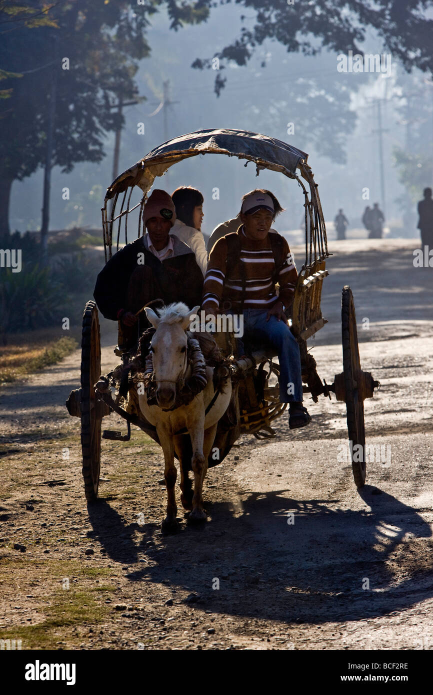Myanmar Birmania Mrauk U. Un pony e voce del carrello per il mercato a Mrauk U nelle prime ore del mattino. Foto Stock