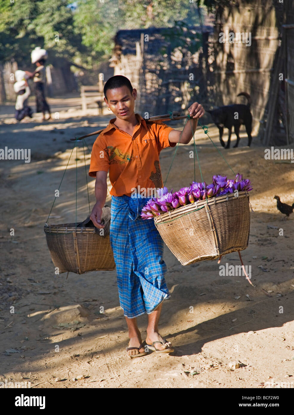 Myanmar Birmania Mrauk U. Un fiore di loto venditore in un villaggio vicino a Mrauk brevetto statunitense n. Foto Stock
