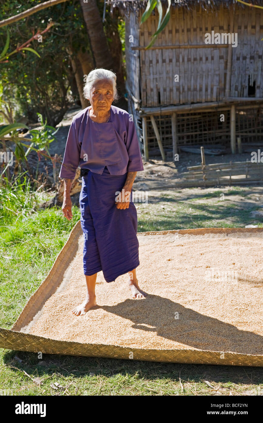 Myanmar Birmania, Stato di Rakhine, Laung Shein. Una vecchia donna a Laung Shein village utilizza i suoi piedi per diffondere il riso. Foto Stock
