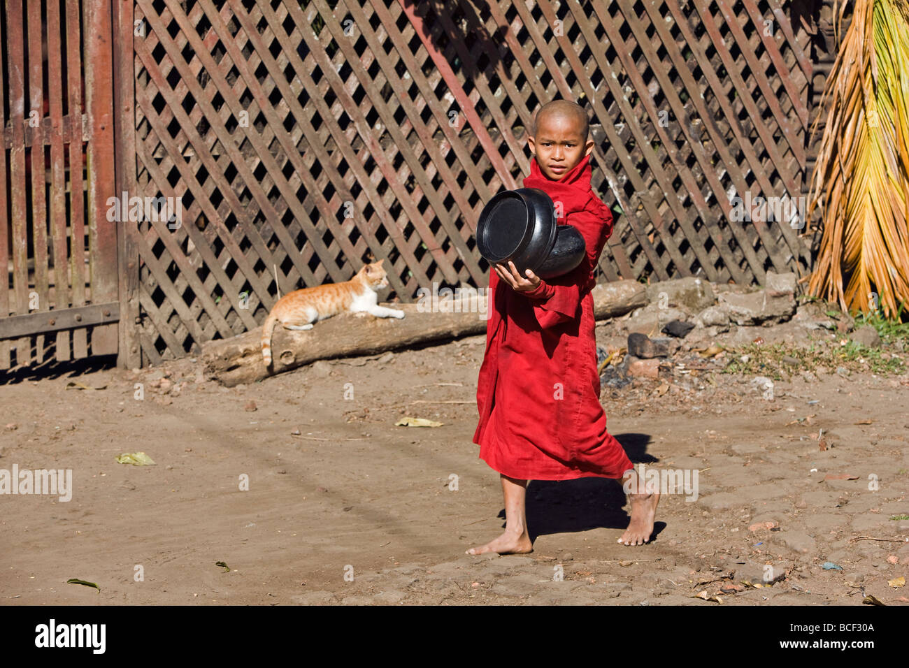 Myanmar Birmania, Stato di Rakhine, Sittwe. Un giovane monaco novizio passeggiate lungo una strada laterale in Sittwe con la sua ciotola. Foto Stock