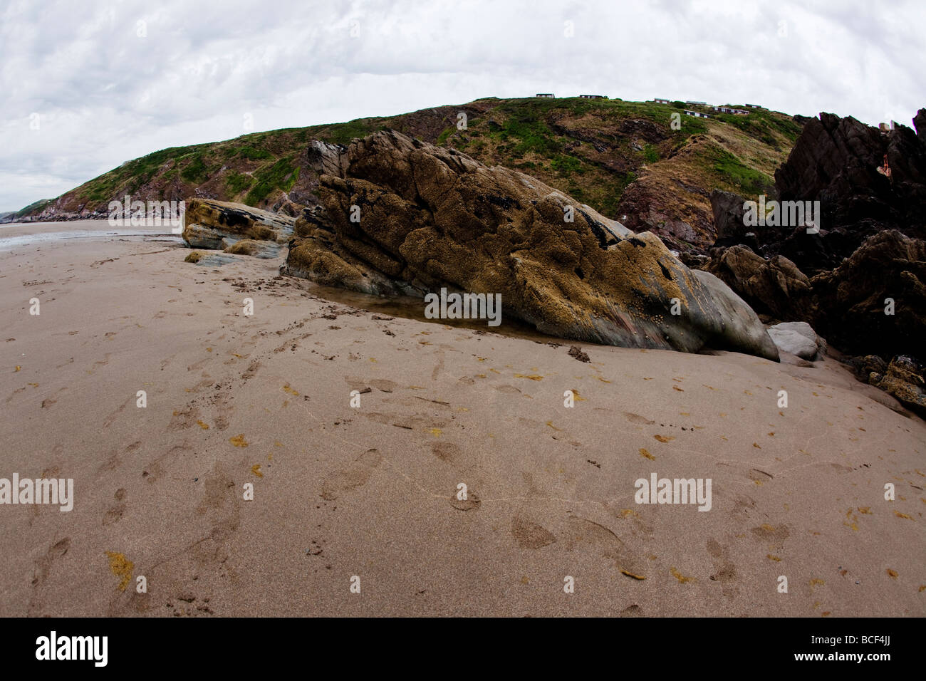 Whitsand Bay, Cornovaglia: sabbia dorata punteggiata in luoghi da affioramenti di roccia Foto Stock
