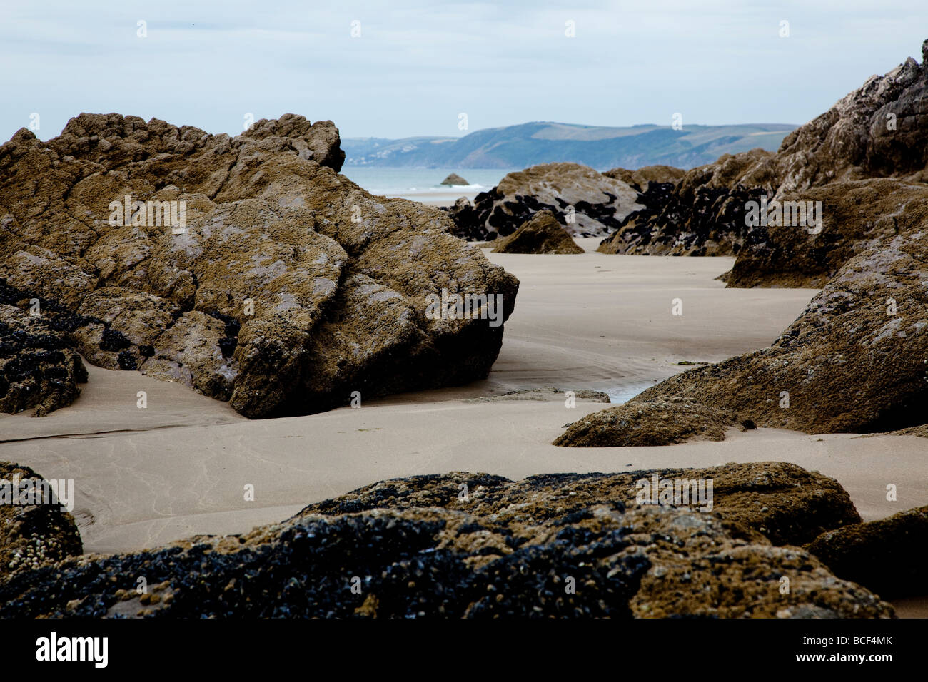 Whitsand Bay, Cornovaglia: sabbia dorata punteggiata in luoghi da affioramenti di roccia Foto Stock