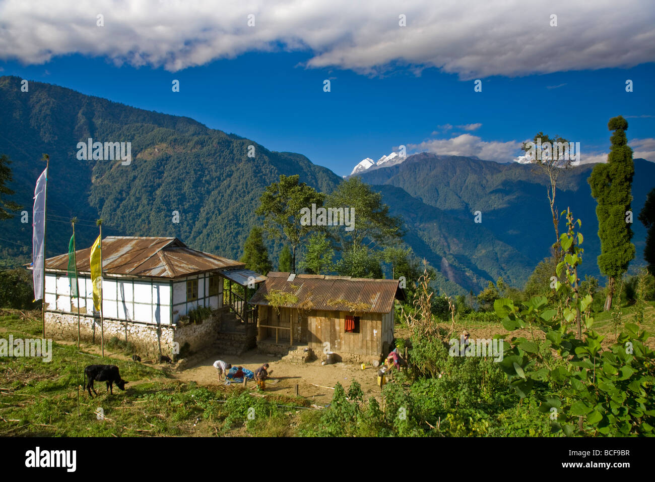 India, Sikkim, Khecheopalri Lake, Casa con gamma di Kangchendzonga in background Foto Stock