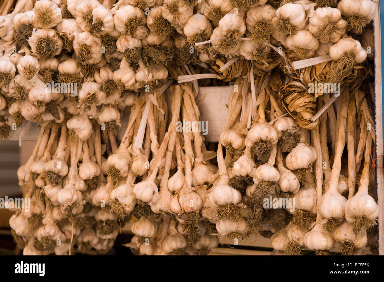 Aglio appeso in vendita in Sicilia Foto Stock