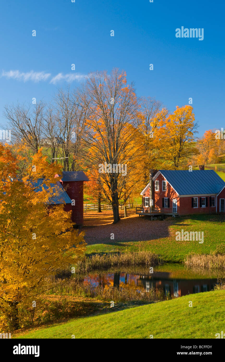 Stati Uniti d'America, Vermont, nr Woodstock, Jenne Agriturismo Foto Stock