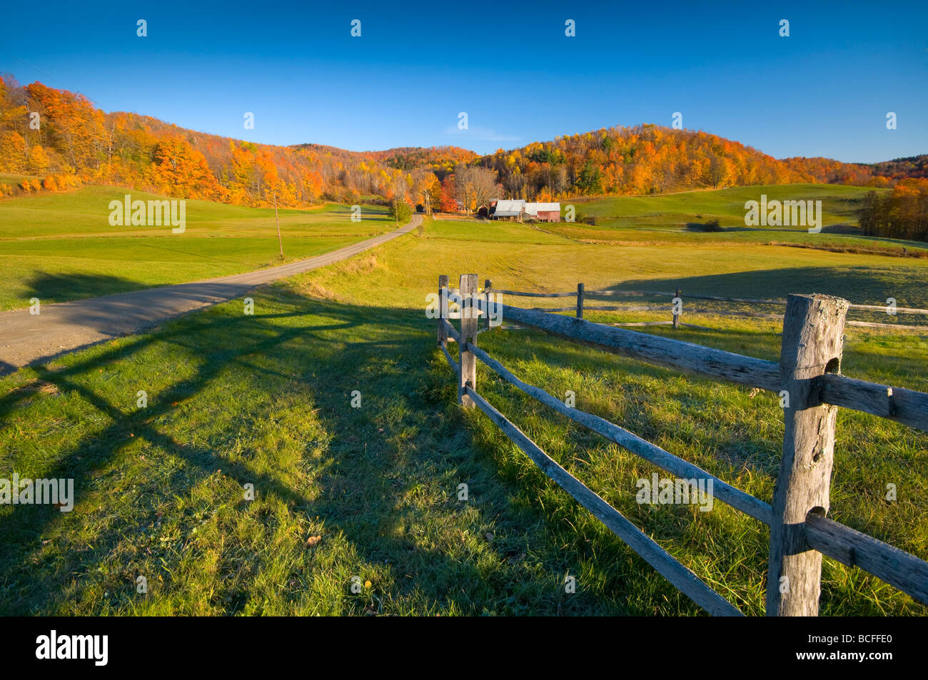 Stati Uniti d'America, Vermont, nr Woodstock, Jenne Agriturismo Foto Stock