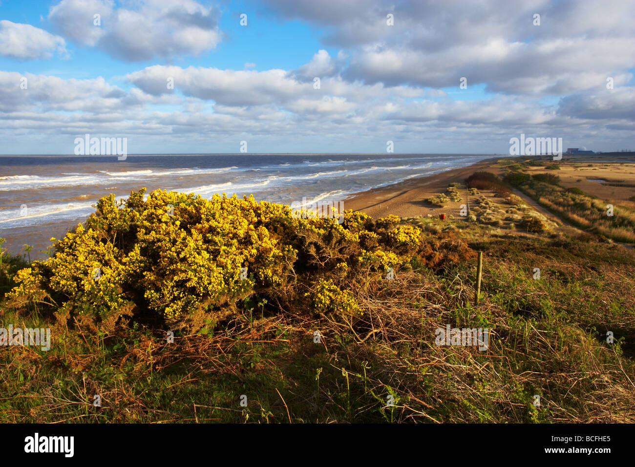 Una vista dalla scogliera a Dunwich sulla costa di Suffolk Foto Stock