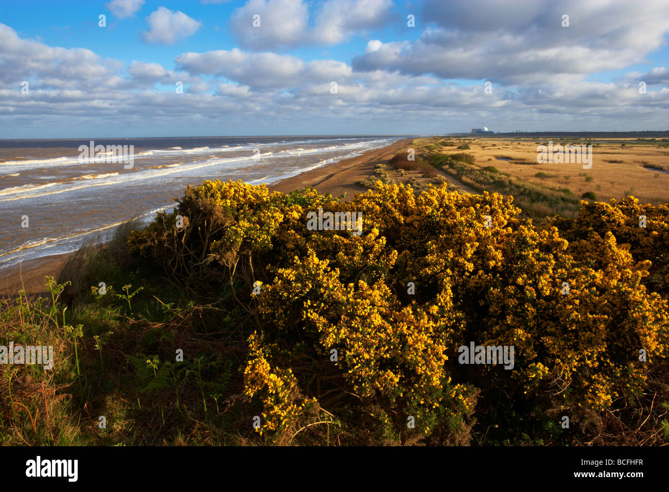 Una vista dalla scogliera a Dunwich sulla costa di Suffolk Foto Stock