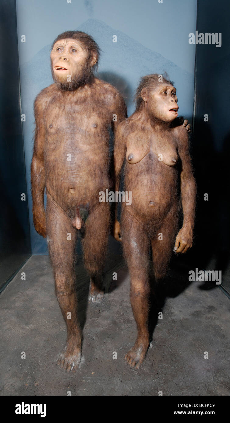 Un'interpretazione di due Australopithecines camminando in ceneri vulcaniche 3,5 milioni di anni fa. Foto Stock