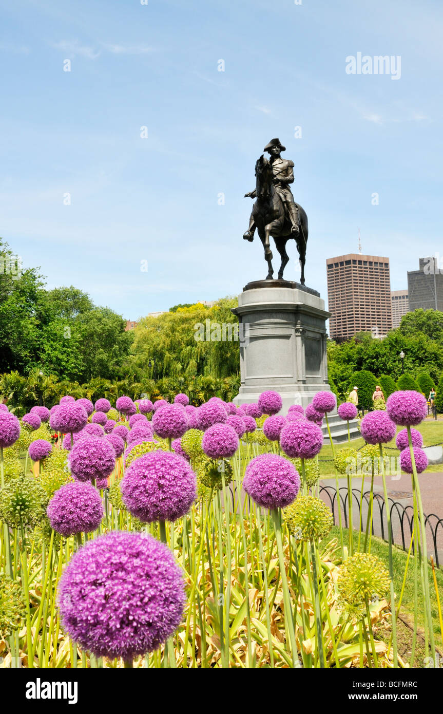 Boston Public Gardens adiacente al Boston Common con il gigante Allium piante in fiore e la statua di George Washington Foto Stock