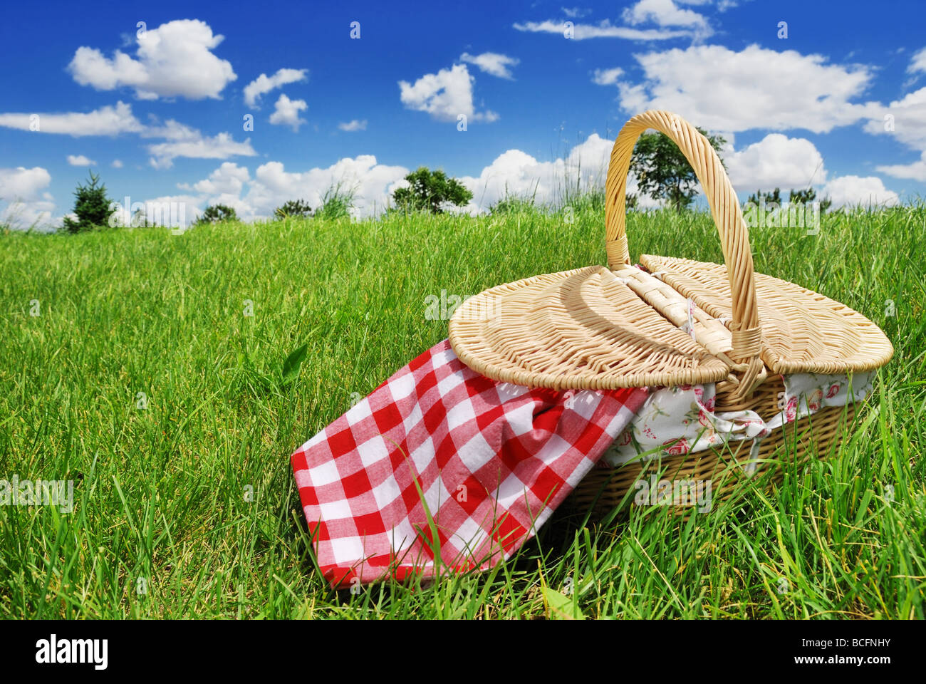 Cesto picnic sul prato Foto Stock