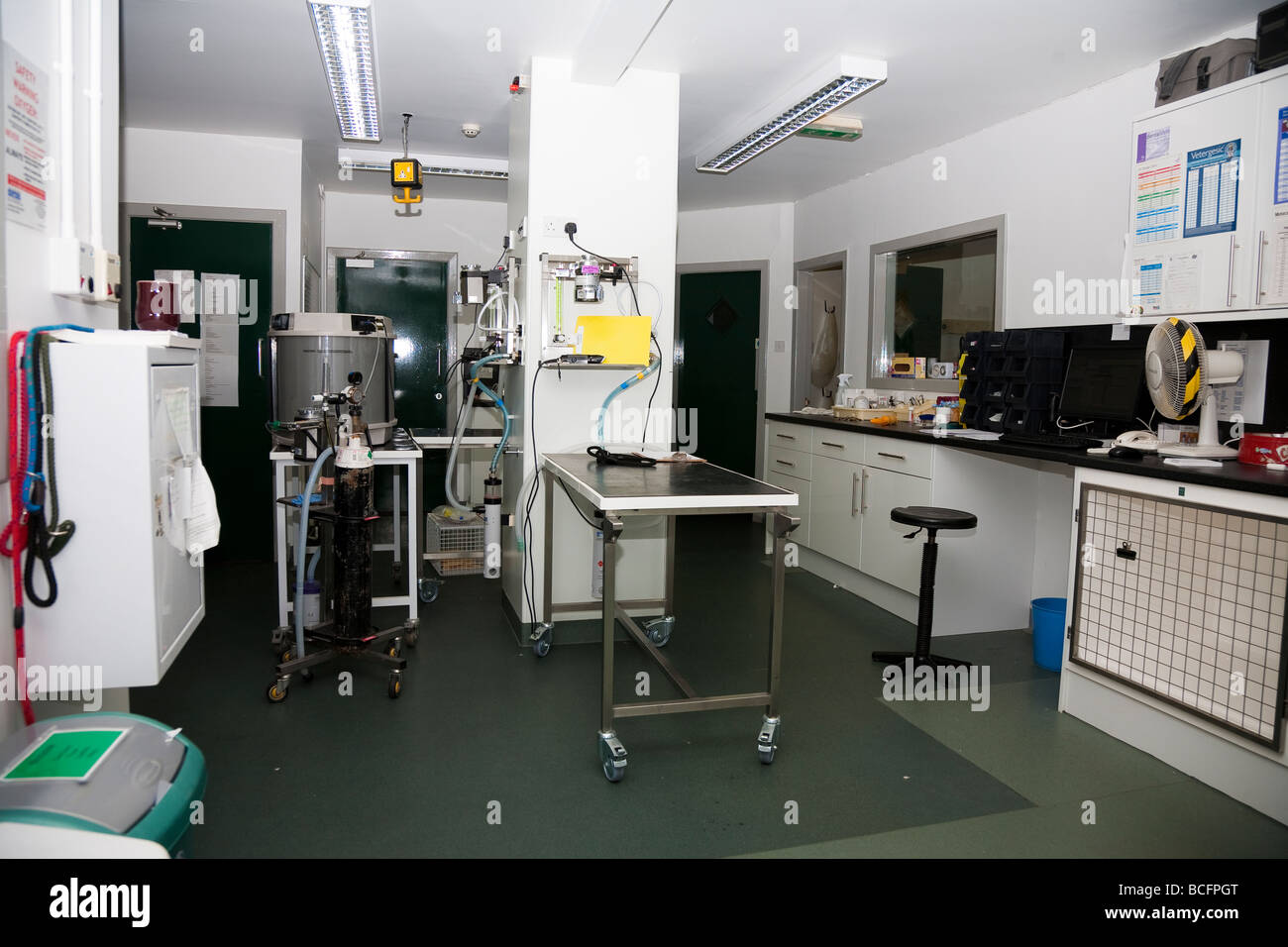 Sala di preparazione in un ospedale veterinario Foto Stock