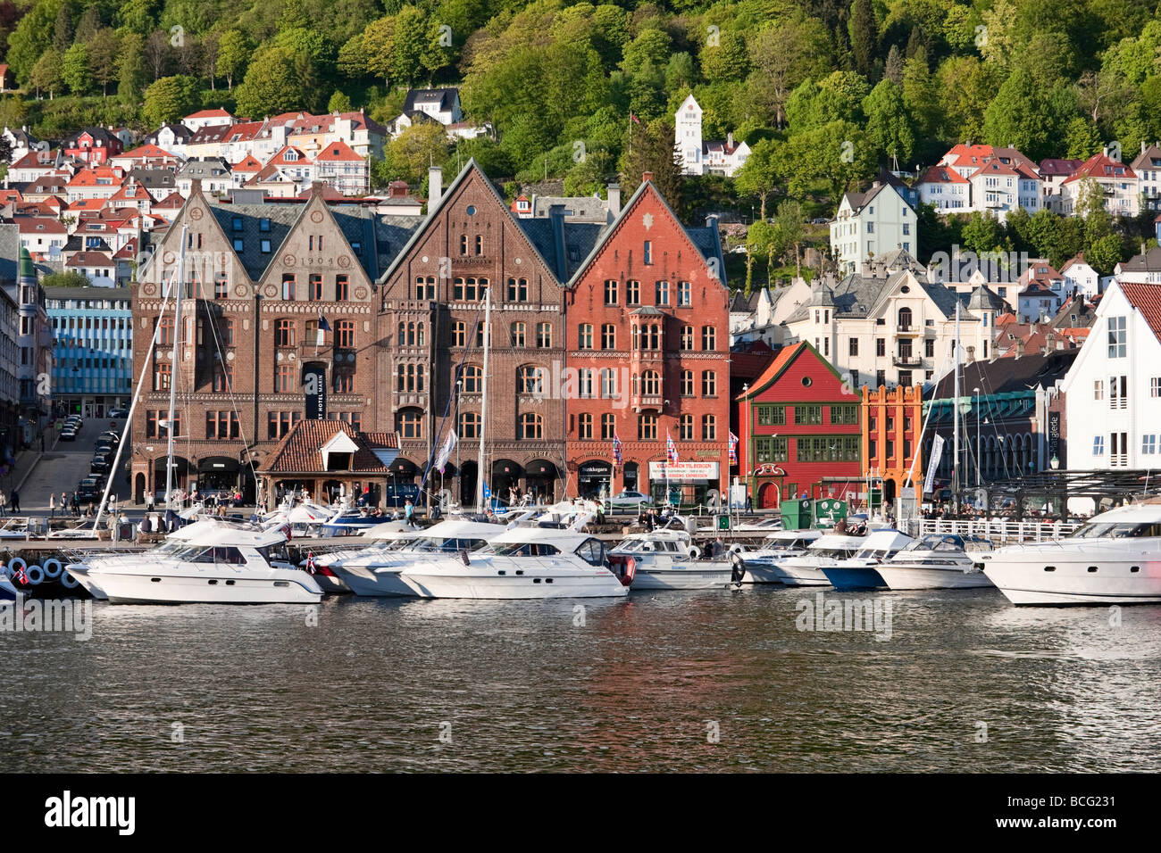 Imbarcazioni da diporto in porto a Bergen in Norvegia Foto Stock