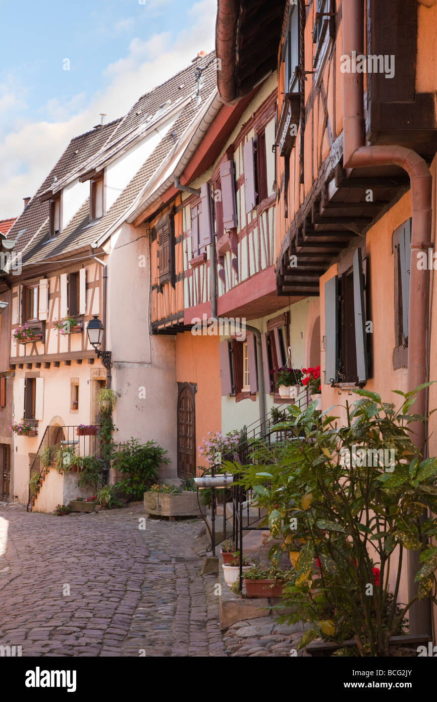 La colorata Vecchia graticcio edifici su strette strade di ciottoli nel borgo medievale sulla strada del vino. Eguisheim Alsace Francia Foto Stock