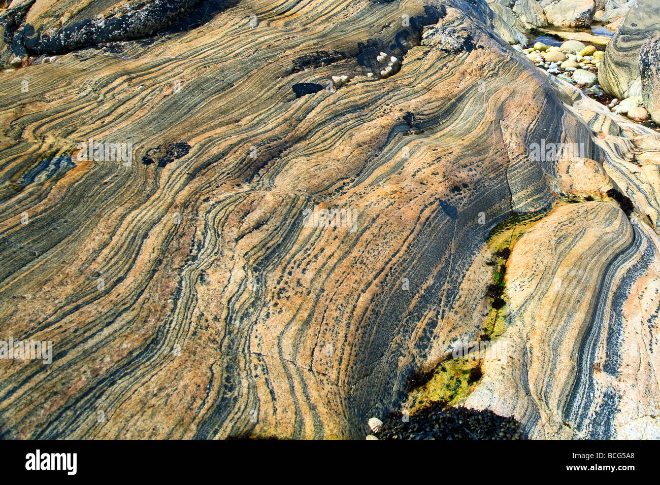 Formazione di roccia a Hushinish, Isle of Harris, Ebridi Esterne, Western Isles, Scotland, Regno Unito 2009 Foto Stock