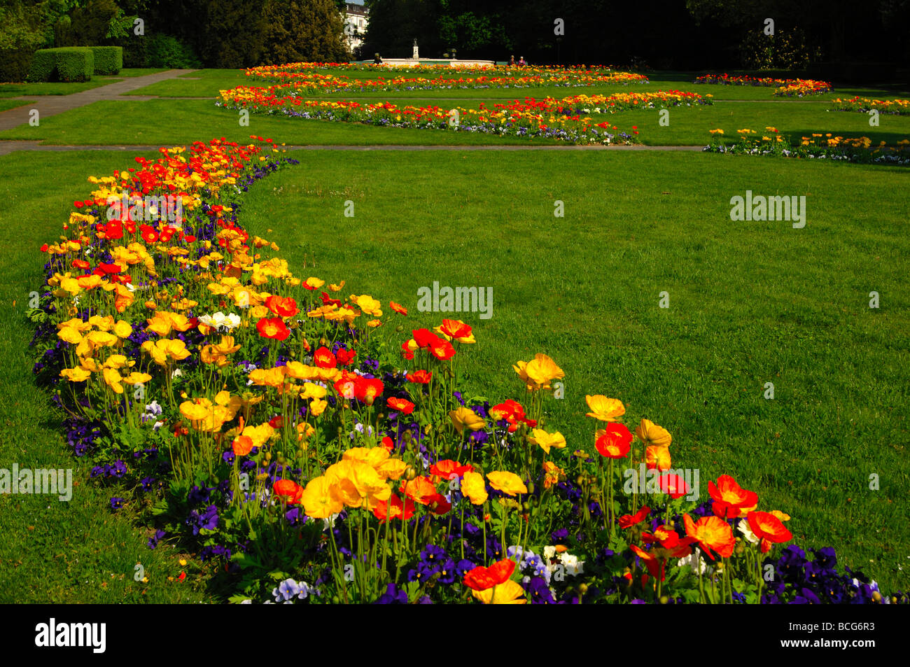 Letto di fiori nel pubblico parc Mon Repos, Ginevra, Svizzera Foto Stock