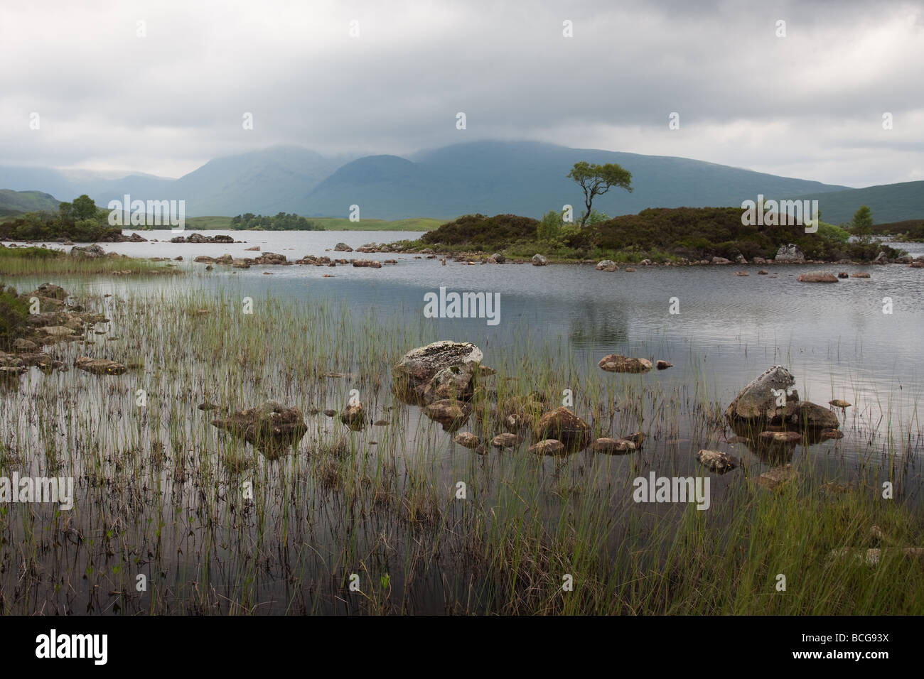 Loch Lochan na Achlaise Rannoch Moor Scozia Scotland Foto Stock