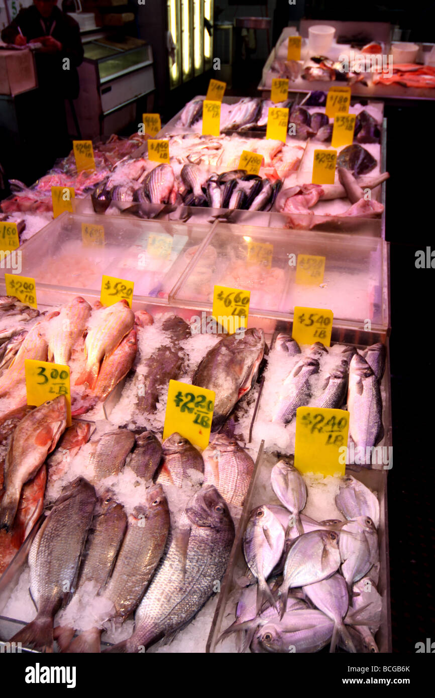 Negozio di pesce in China Town, New York Foto Stock