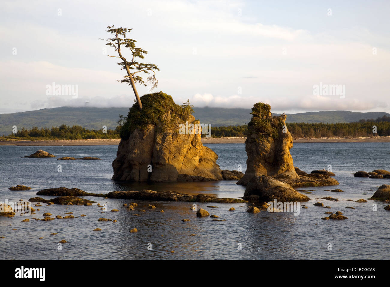 Pile di mare all'entrata del fiume Tillamook e bay Oregon costa del Pacifico Foto Stock
