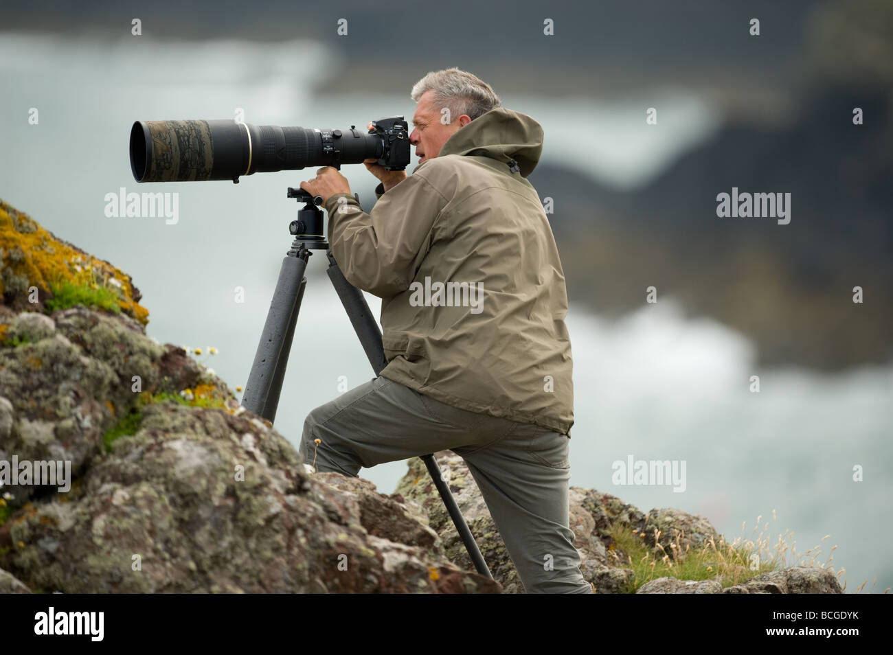 Wildlife Photographer a strapiombo sul mare in Il Pembrokeshire Coast. Foto Stock