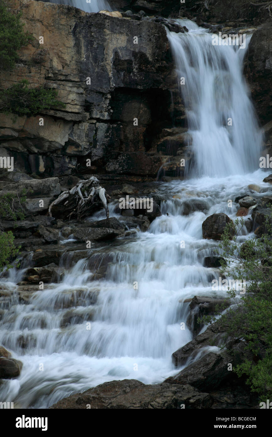 Canada Alberta del Parco Nazionale di Jasper groviglio Creek Falls Foto Stock