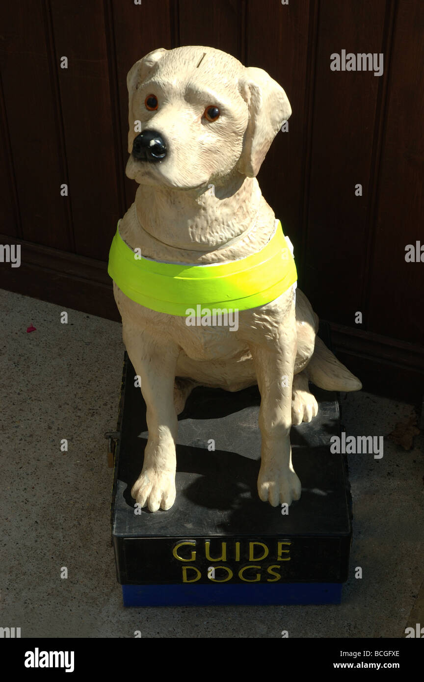 La carità cassetta di raccolta per i cani guida per i non vedenti, England, Regno Unito Foto Stock