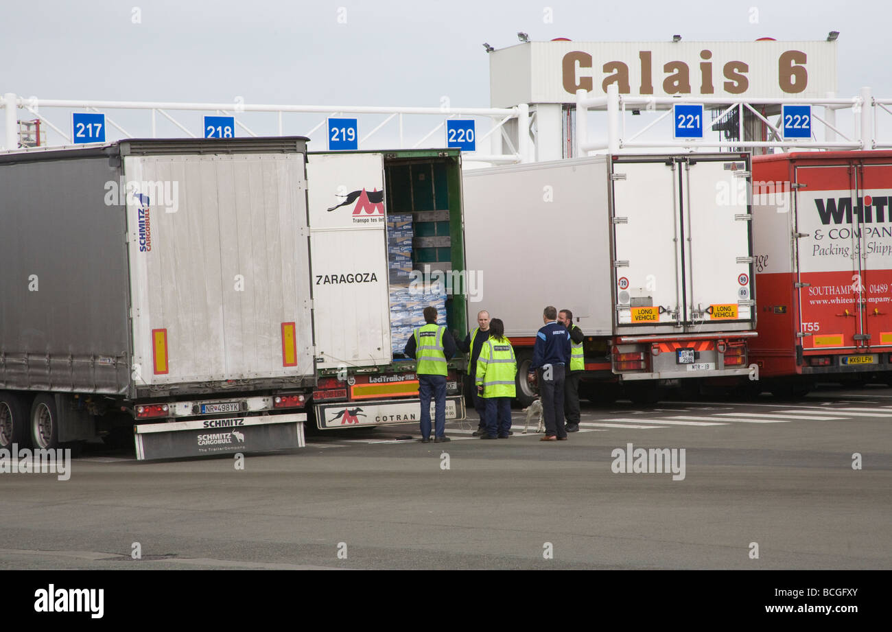 Calais Francia EU UK Border Agency personale controllo del retro di un camion in attesa di un Traghetto per Dover sniffer cane da Foto Stock