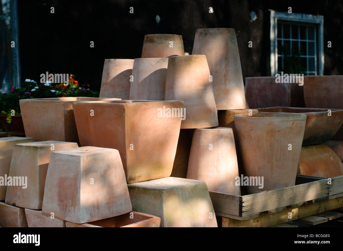 In Terracotta vasi di fiori Foto Stock