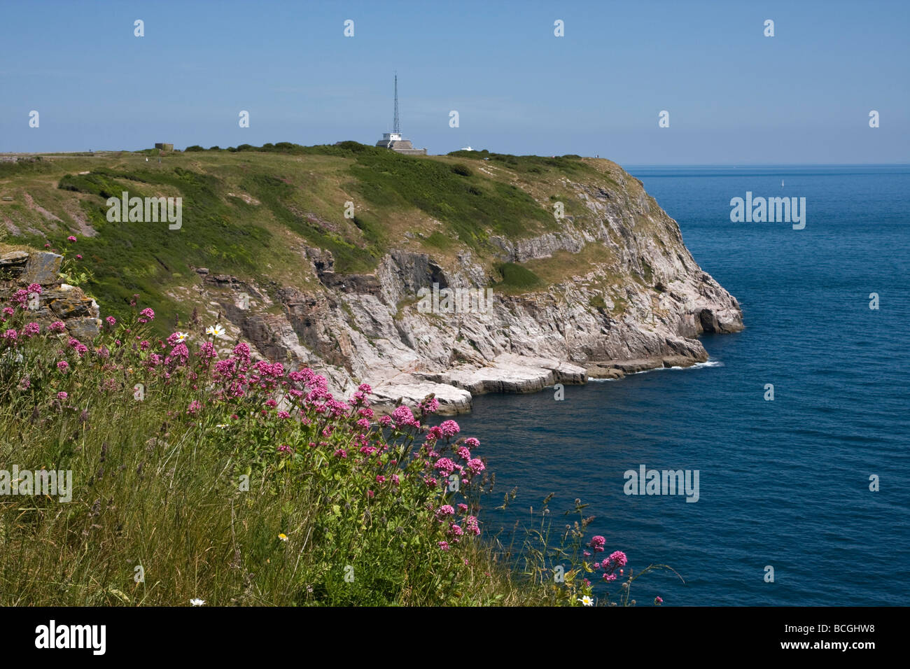 Berry Head, Brixham, Torbay, South Devon, Regno Unito Foto Stock