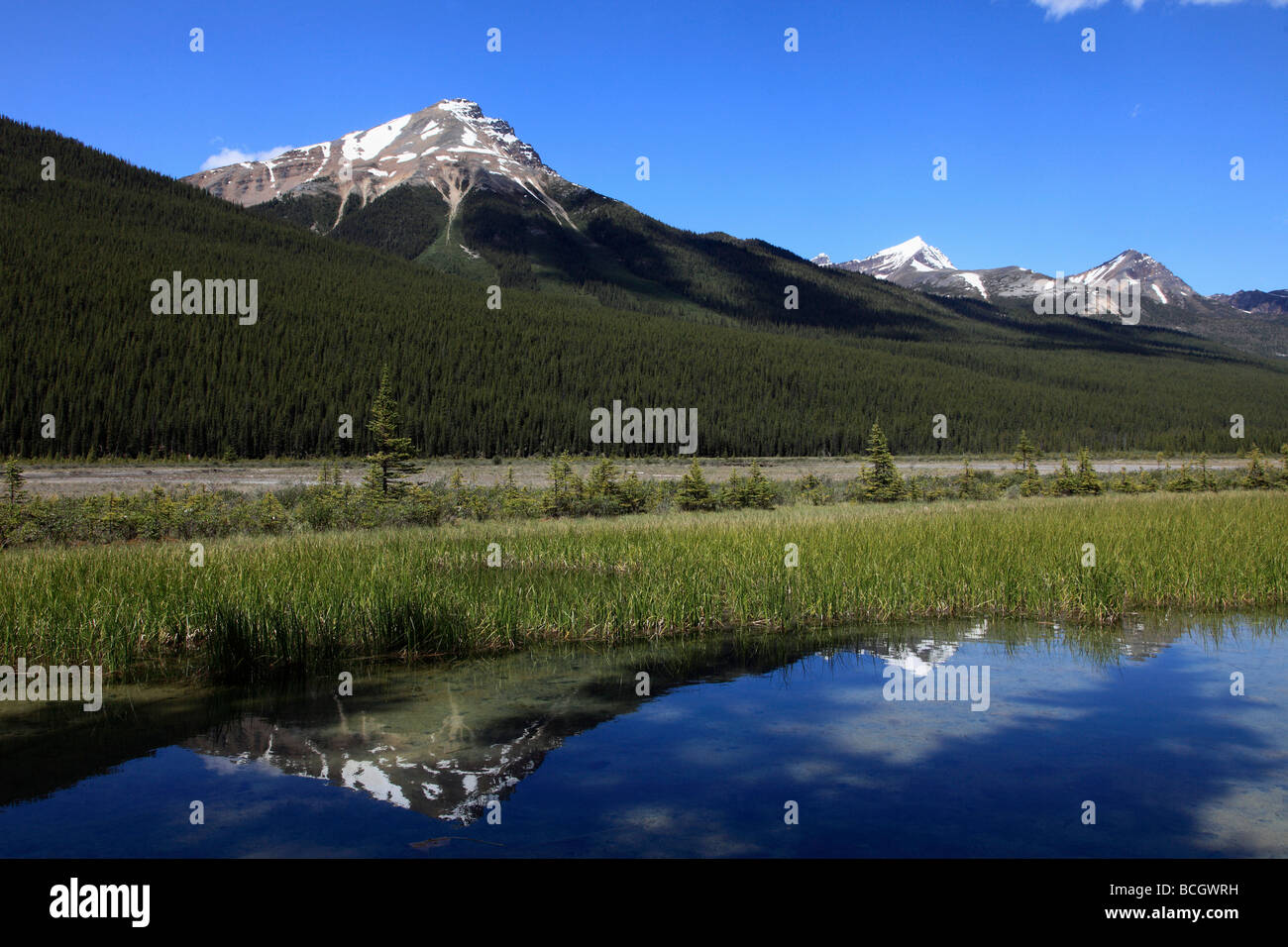 Canada Alberta Jasper National Park Fiume Sunwapta Winston Churchill gamma Foto Stock