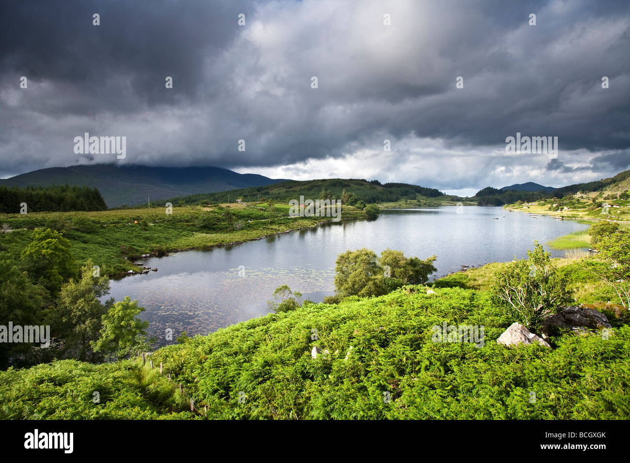 Cloonee Loughs vicino a Kenmare County Kerry sud ovest Irlanda Foto Stock
