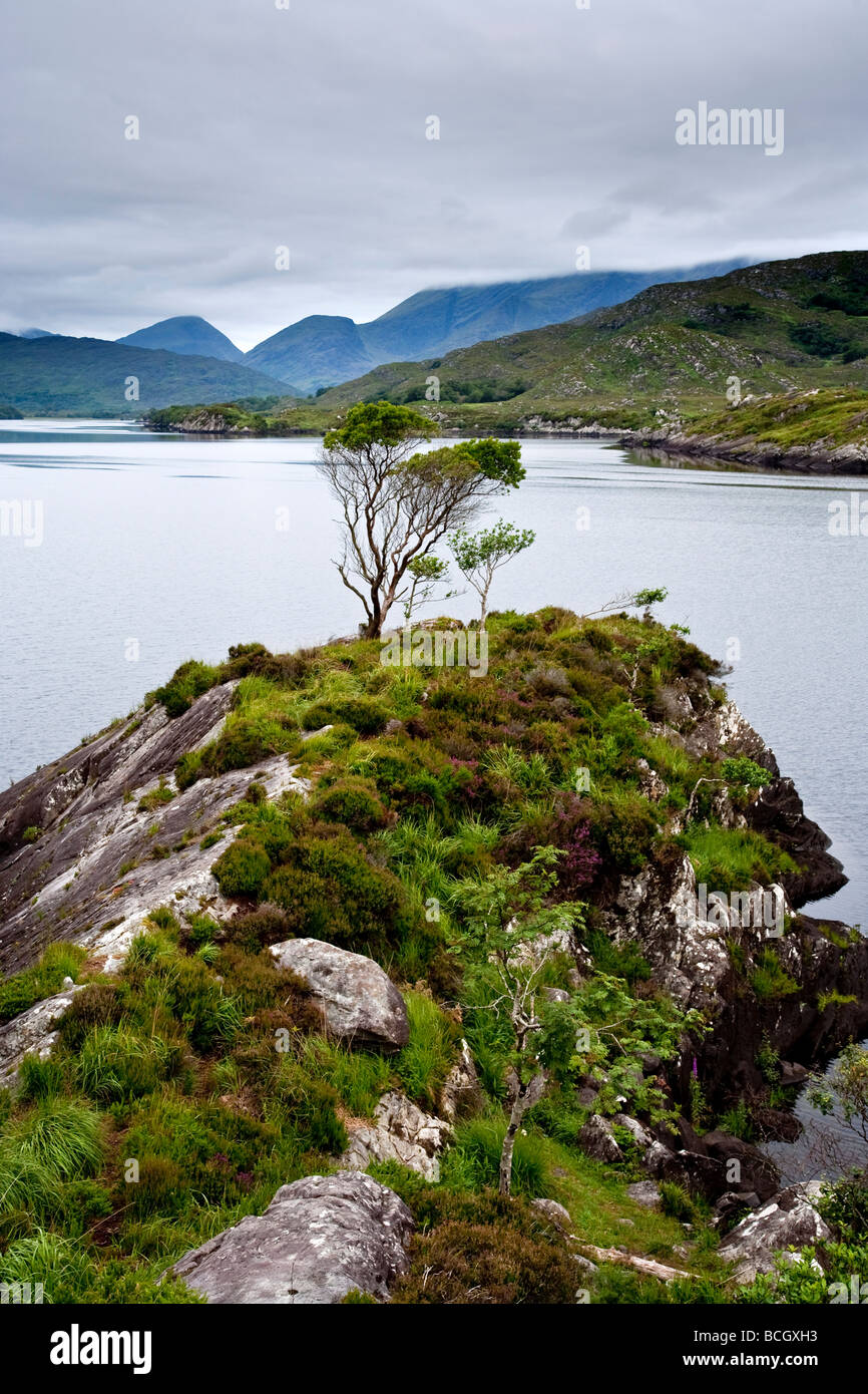 Parte superiore del lago laghi di Killarney National Park Killarney County Kerry sud ovest Irlanda Foto Stock