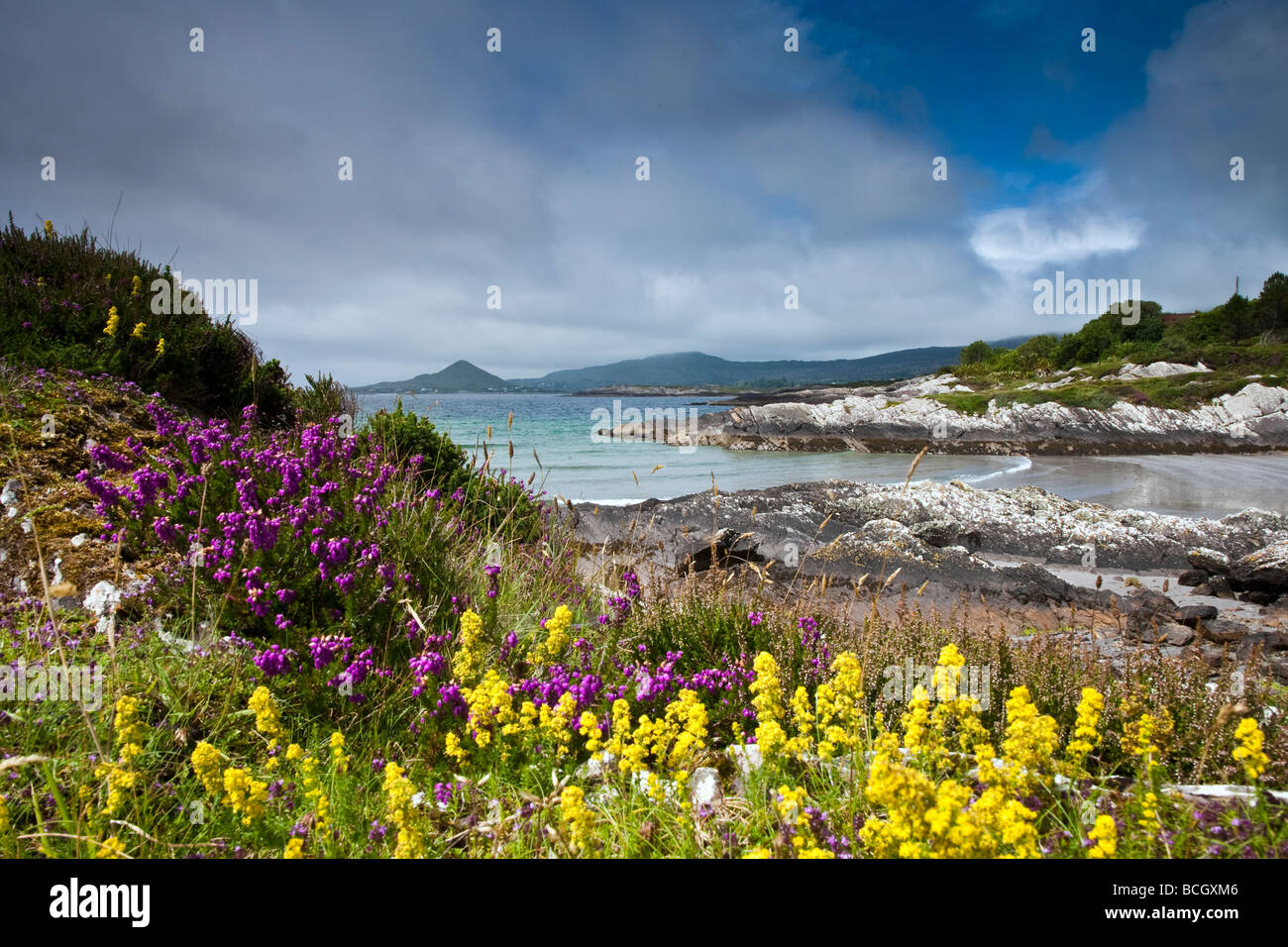 Spiaggia Vicino Kileen Ring of Kerry County Kerry Irlanda Foto Stock