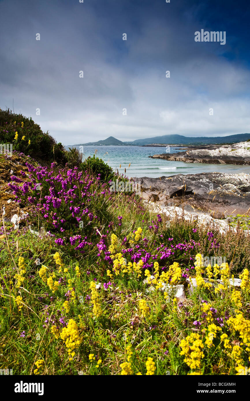 Spiaggia Vicino Kileen Ring of Kerry County Kerry Irlanda Foto Stock