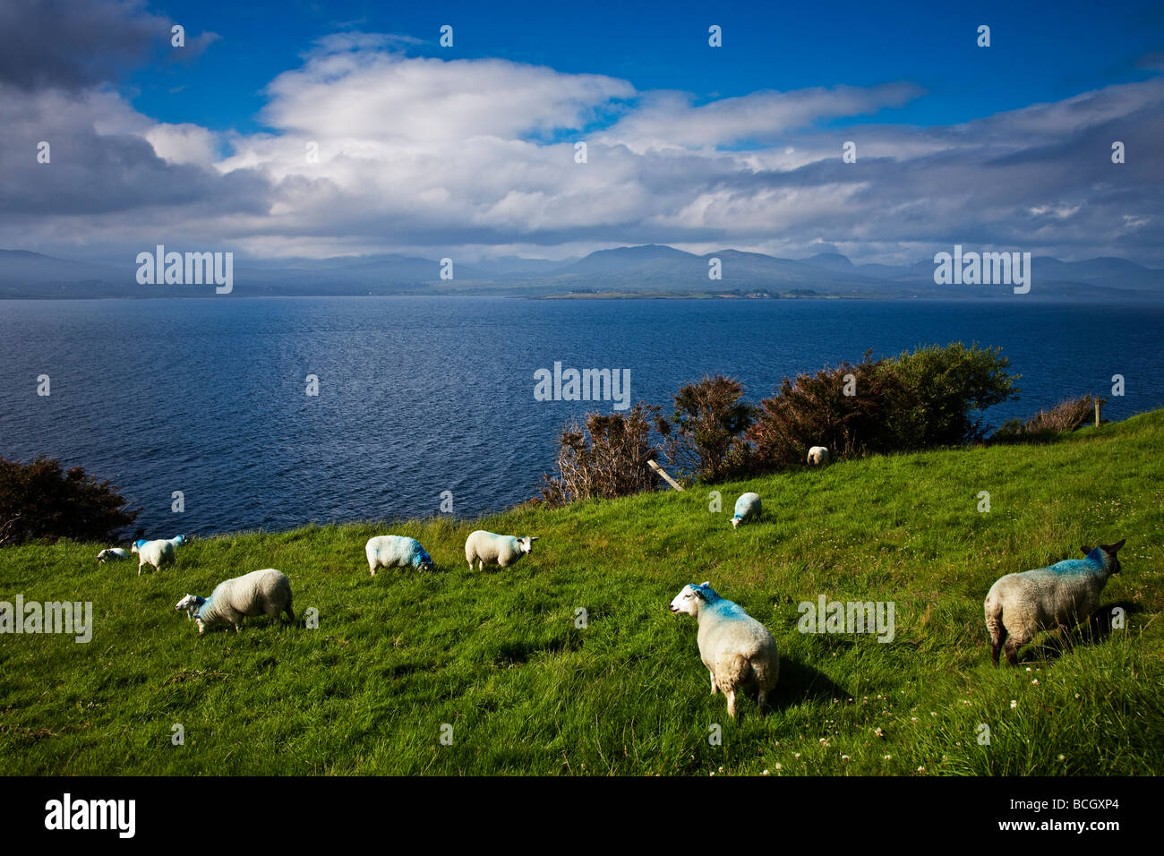 Affacciato sulla Kenmare estuario del fiume da thr penisola di Beara Contea di Kerry Irlanda Foto Stock