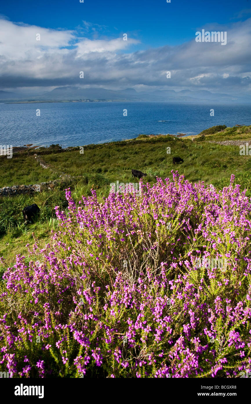 Affacciato sulla Kenmare estuario del fiume da thr penisola di Beara Contea di Kerry Irlanda Foto Stock