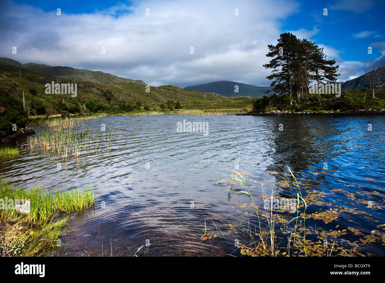 Cloonee Loughs vicino a Kenmare County Kerry sud ovest Irlanda Foto Stock